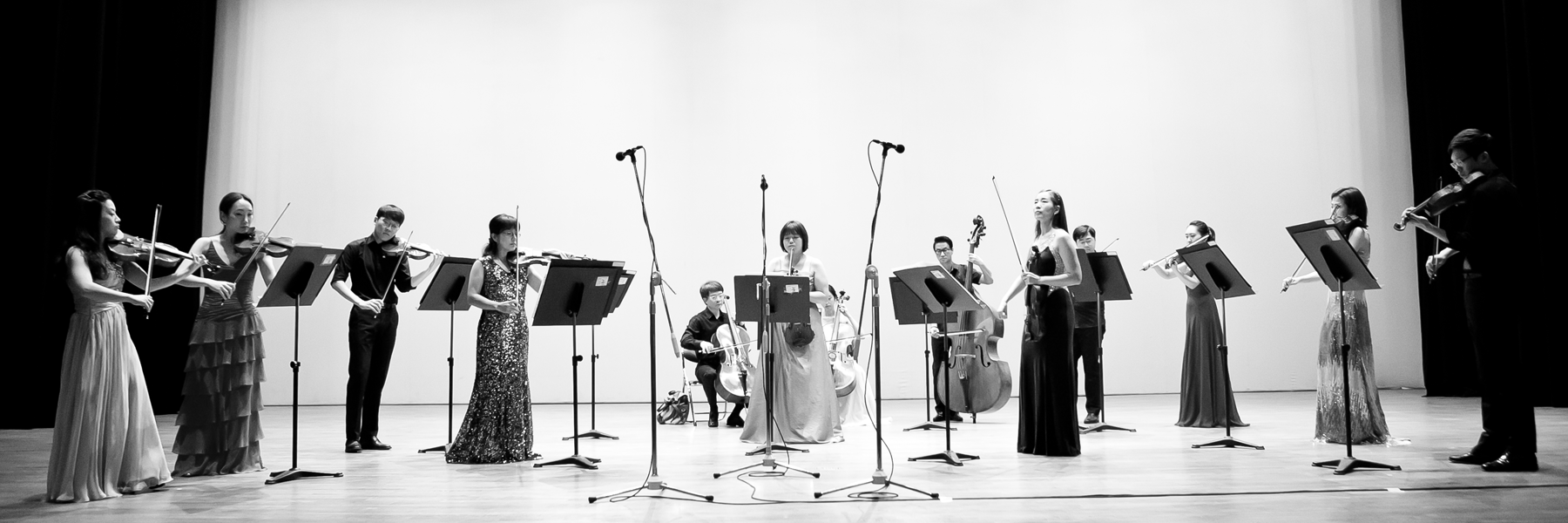 M&P Chamber Orchestra